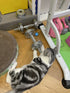 Smart Interactive Rolling Ball for Cats – Electronic Indoor Toy